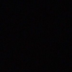 Meet your Posher, Tyson